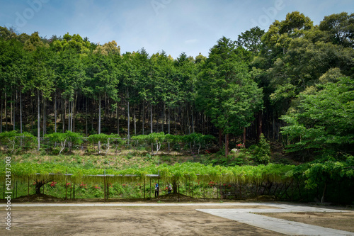 白毫寺からの景色