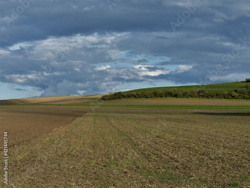 Leeres Feld im Herbst mit dunklen Regenwolken