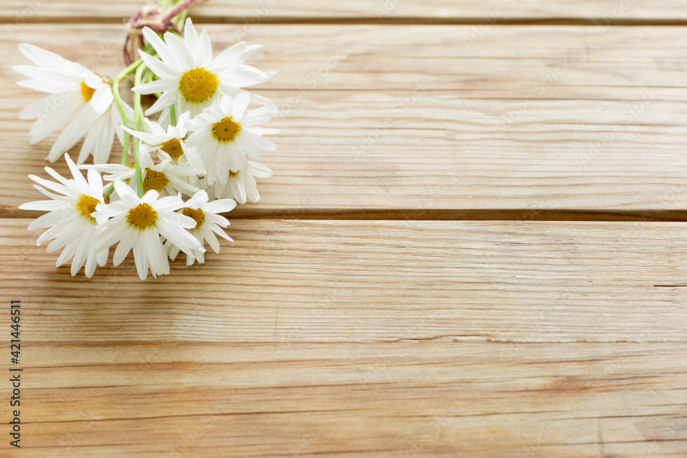 Fototapeta premium daisies on wooden background