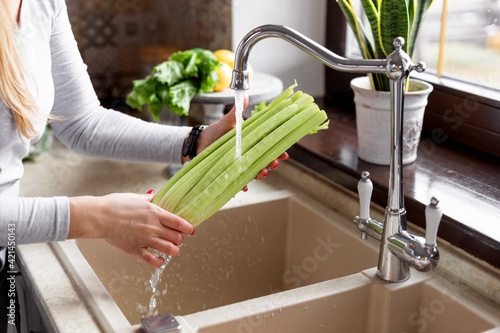 Close-up of a girl s hands washing celery in the sink in a home kitchen. The concept of health and a healthy lifestyle. Healthy eating, diet, vegetarianism photo