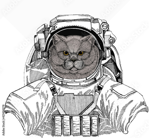 Wild astronaut animal in spacesuit. Deep space. Galaxy. British shorthair cat animal cute face. Vector happy silver British kitten head portrait.