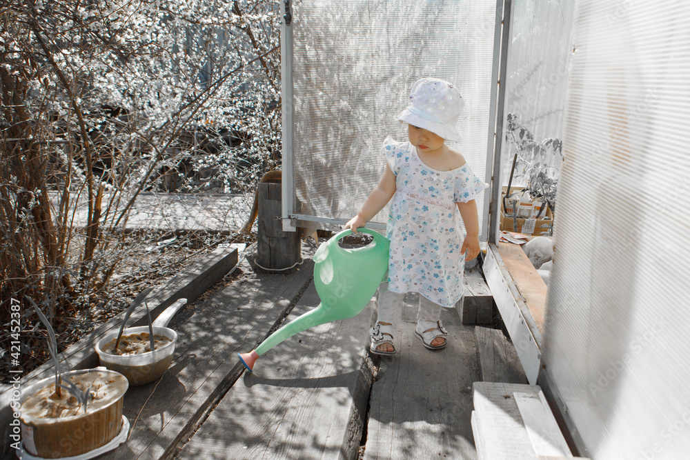 a happy child is watering the flowers. Love, sunshine, and spring blooming. girl in a panama hat and dress, gardening a happy child is watering the flowers. Love, sunshine, and spring blooming. girl in a panama hat and dress, gardening