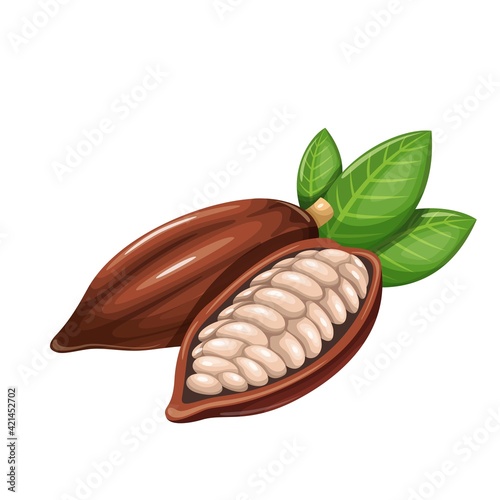 Cocoa beans vector icon. Chocolate sweets design. Healthy detox natural product superfood illustration for design market menu superfood .