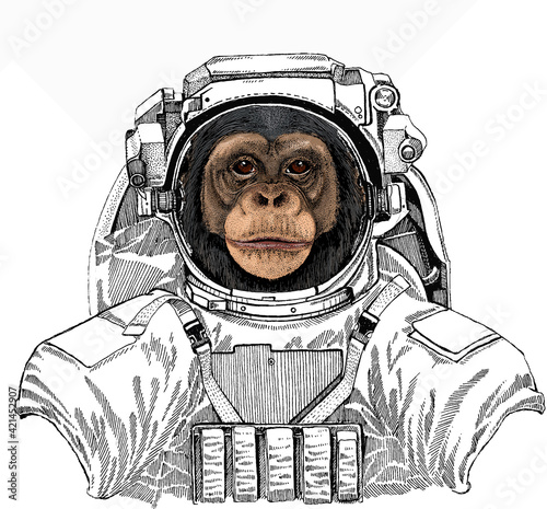 Vector chimpanzee portrait. Wild astronaut animal in spacesuit. Deep space. Galaxy. Ape head, monkey face.