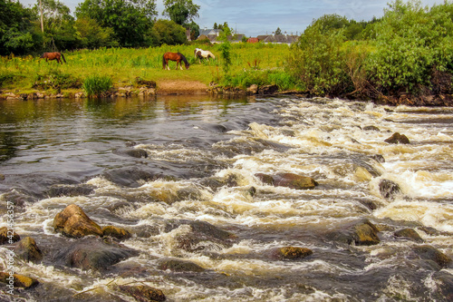 Cascade of water over rocks on the River Moy with horses on the opposite bank 