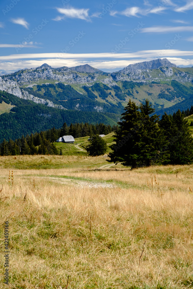 Alpage, prairie des montagnes dans les Alpes, là où l'on trouve les meilleurs fromages. Plateau du Semnoz, massif des Bauges