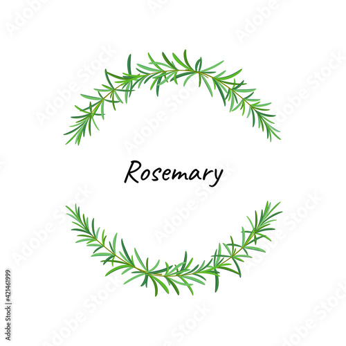 Rosemary wreath. Vector naturalistic illustration. Illustration for greeting card  packaging.