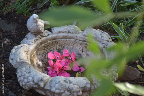 garden moment