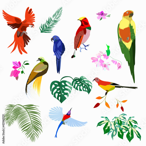 A set of birds of paradise and parrots