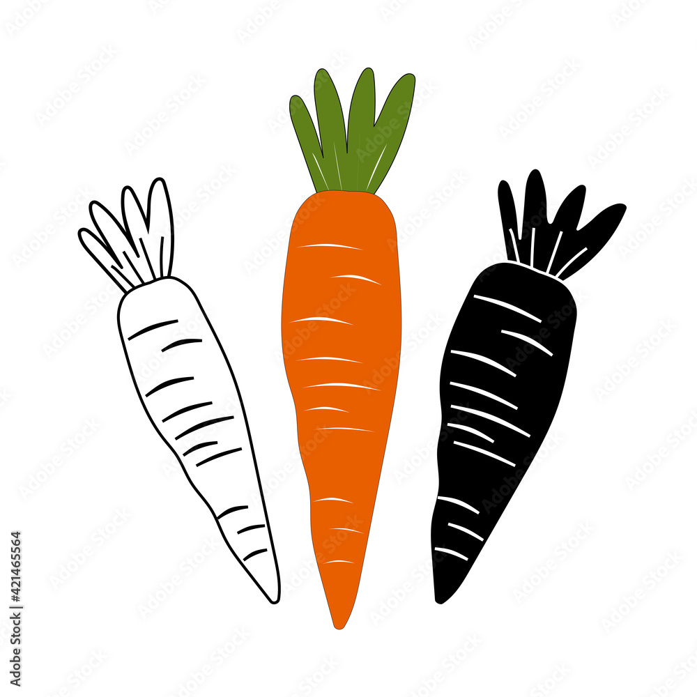 Set of carrots on a white background. Cute illustrations of vegetables for postcards, kitchen textiles, menus, restaurants. Thin line customizable illustration. 