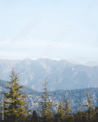 mountains in the fog