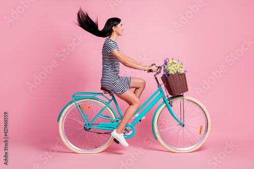 Fototapeta Naklejka Na Ścianę i Meble -  Full length body size profile side view of pretty cheerful girl riding bike having fun isolated on pink pastel color background