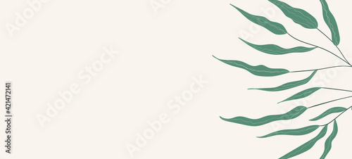 Floral web banner with drawn color exotic monstera leaves. Nature concept design. Modern floral compositions with summer branches. Vector illustration on the theme of ecology  natura  environment