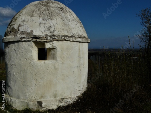 Weisser Trullo im Weinberg bei Monsheim / Rheinhessen photo