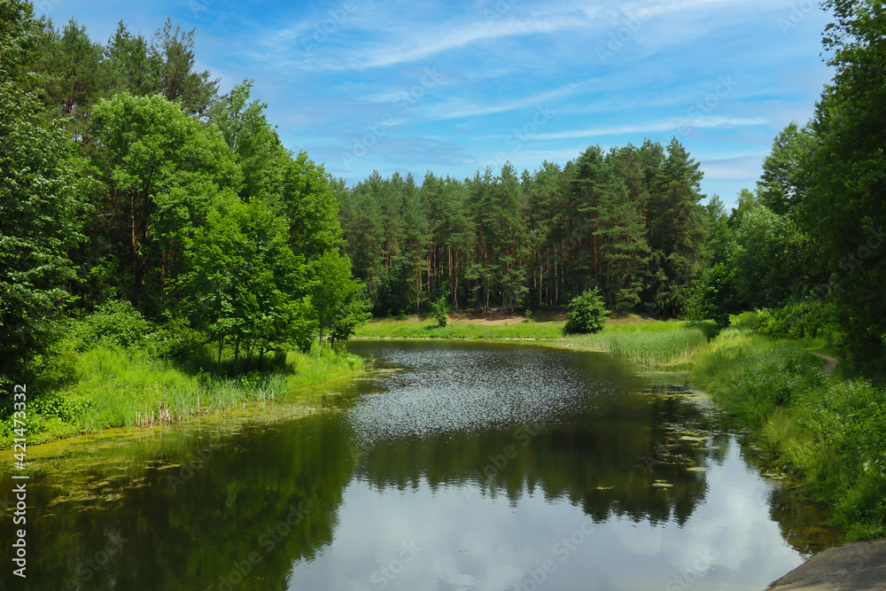 Small winding river along the green forest.