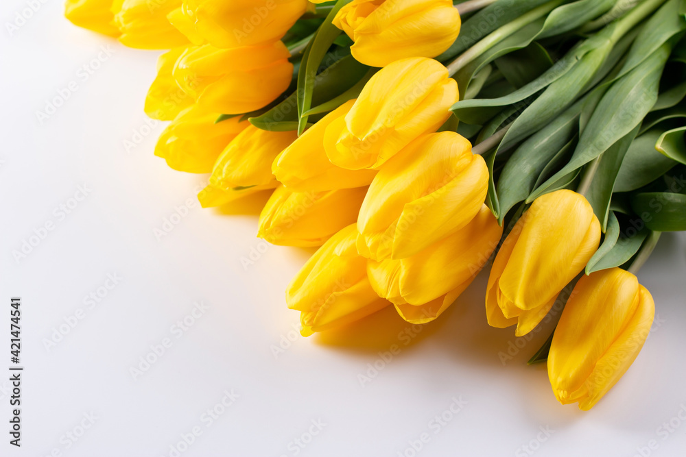 Yellow tulips, spring flowers, isolate on a white background. The concept of the celebration. Copy space Yellow tulips, spring flowers, isolate on a white background. The concept of the celebration. Copy space