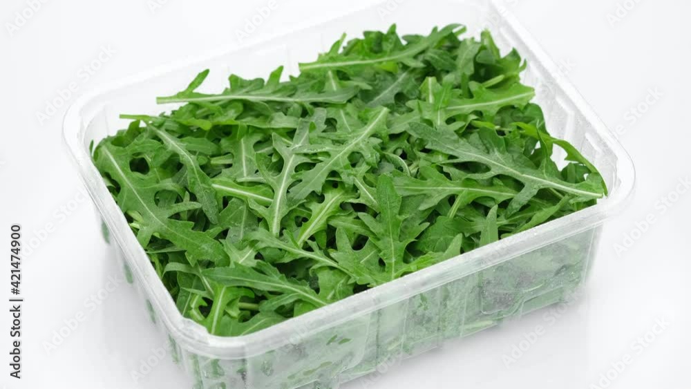fresh arugula in container for delivery or sale on white background fresh arugula in container for delivery or sale on white background