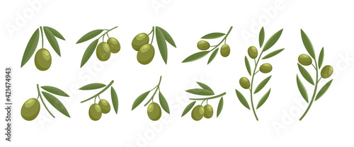 modern olive logo design set