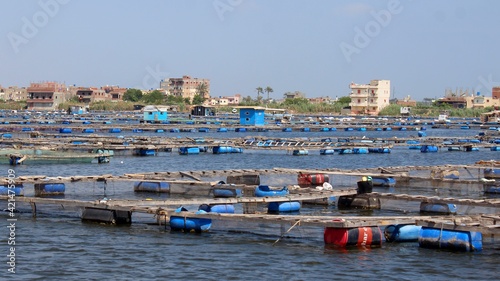 Basic fish farm in the Nile river in Rashid in Egypt photo