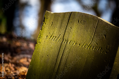 Abandoned Jewish cemetery in Skwierzyna, Poland. Close-ups on the matzevot. A photo taken on a sunny day, atmospheric shot