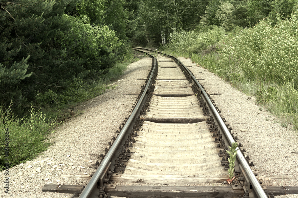 turn of the railway. Steel rails on concrete sleepers disappear from view, going deep into the forest thicket