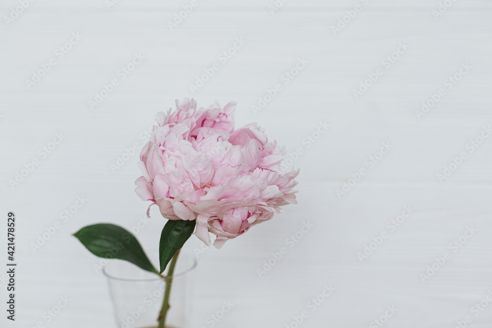 Beautiful pink peony in glass vase on white wooden background, copy space. Happy Mothers day Beautiful pink peony in glass vase on white wooden background, copy space. Happy Mothers day