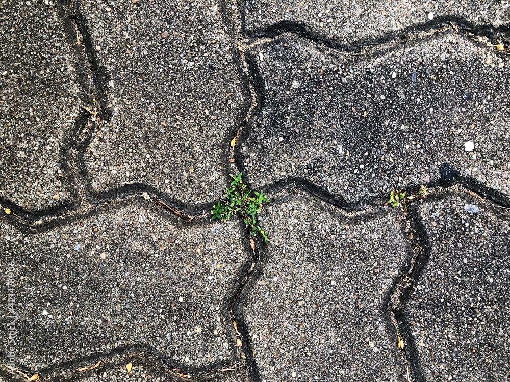 Obraz premium cracked asphalt background