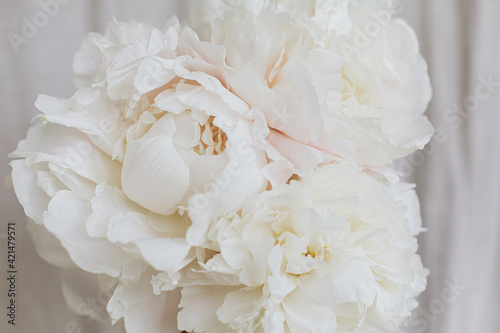 Beautiful stylish white peonies bouquet close up on pastel beige fabric background. Floral aesthetic photo
