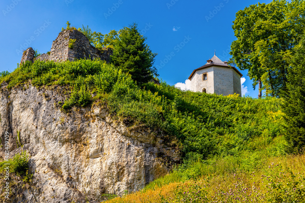 Obraz premium Limestone rocky defense walls and towers of medieval royal Ojcow Castle on Cracow-Czestochowa upland in Lesser Poland