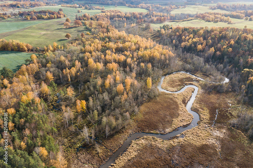 Fototapeta Naklejka Na Ścianę i Meble -  River and forest in Kazdanga, Latvia. Captured from above.