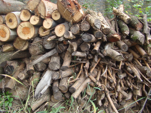 pile of wood