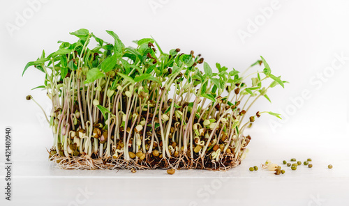 Organic microgreen growings