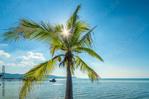 Sunny seascape with tropical palms on beautiful sandy beach in Phu Quoc island  Vietnam. This is one of the best beaches of Vietnam.