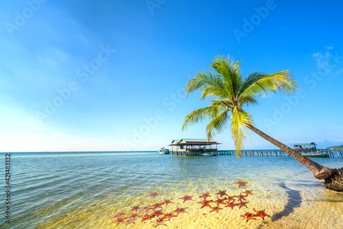 Fototapeta Naklejka Na Ścianę i Meble -  Seascape with tropical palms on beautiful sandy beach in Phu Quoc island, Vietnam. This is one of the best beaches of Vietnam.
