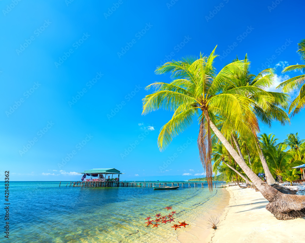 Obraz premium Seascape with tropical palms on beautiful sandy beach in Phu Quoc island, Vietnam. This is one of the best beaches of Vietnam.