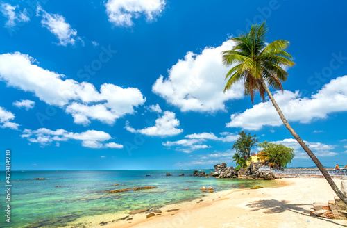 Sunny beach with coconut tree overlooking island and cloudy blue sky clean beachfront in island pearls Phu Quoc, Vietnam