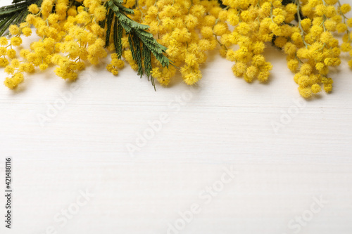 Beautiful mimosa flowers on white wooden table, above view. Space for text