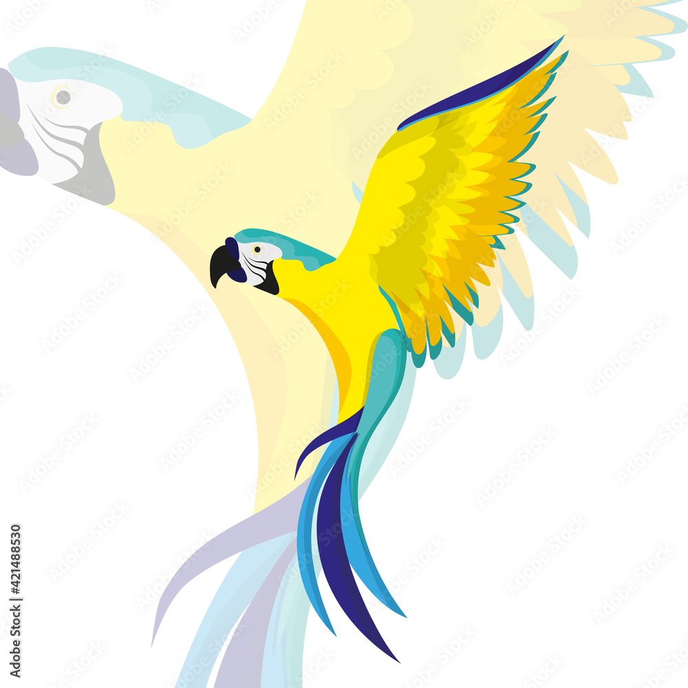 A parrot in flight. A tropical bright bird, the parrot flies with its