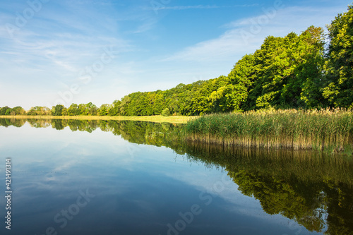 Landschaft mit See, Bäumen und Schilf in Potzlow
