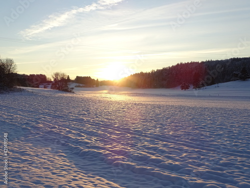 Fototapeta Naklejka Na Ścianę i Meble -  snowy and sunny winter landscape