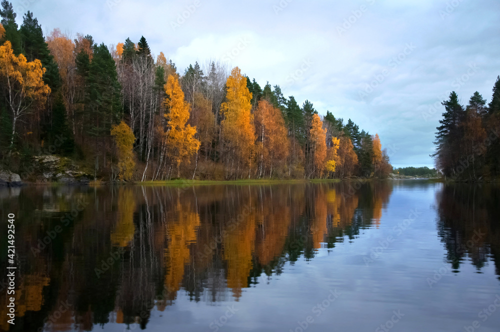 Beautiful colorful reflection of autumn trees in water of lake Ladoga, Karelia