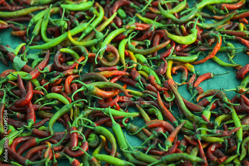 Green chilli peppers in Indian market © PRASANNAPIX