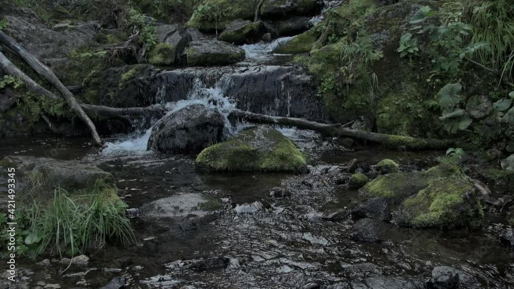 Small waterfall in summer forest. Streambed is covered with rocks and moss. Wet trunks of trees lying in creek. Water splashes against rock Small waterfall in summer forest. Streambed is covered with rocks and moss. Wet trunks of trees lying in creek. Water splashes against rock