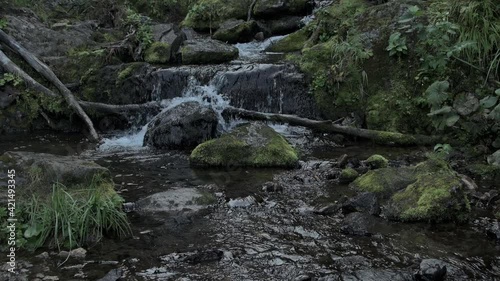 Small waterfall in summer forest. Streambed is covered with rocks and moss. Wet trunks of trees lying in creek. Water splashes against rock