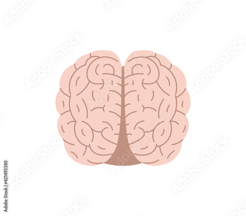 Human brain flat icon isolated on white background.