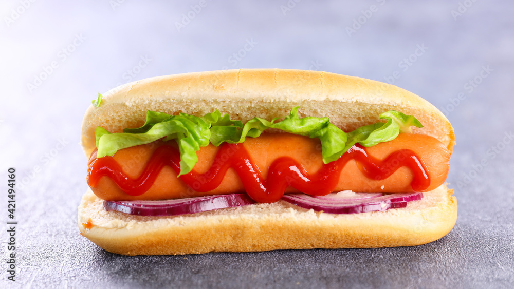 hot dog- sandwich with sausage and lettuce with sauce hot dog- sandwich with sausage and lettuce with sauce