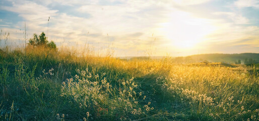Fototapete Sonnenuntergang Beautiful natural panoramic countryside landscape. Blooming wild high grass in nature at sunset warm summer. Pastoral scenery. Selective focusing on foreground.  © Laura Pashkevich