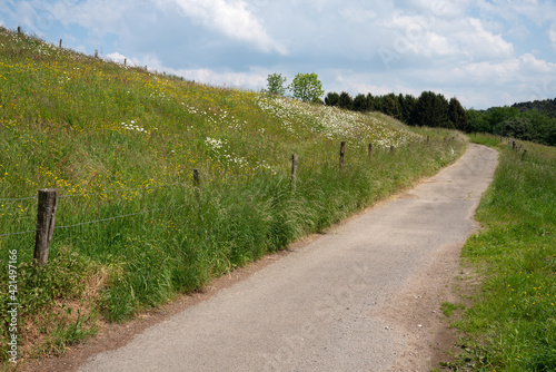 Path in a field on a cloudy day photo