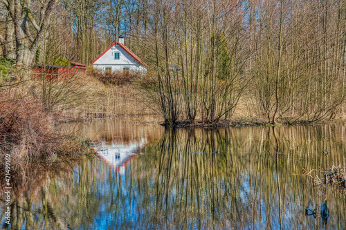 Detached house facade by a lake in a leafless forest. Exterior reflection of a farmer house on a pond among bare trees. Water reflection of a rural lodge provides a countryside lifestyle illustration photo