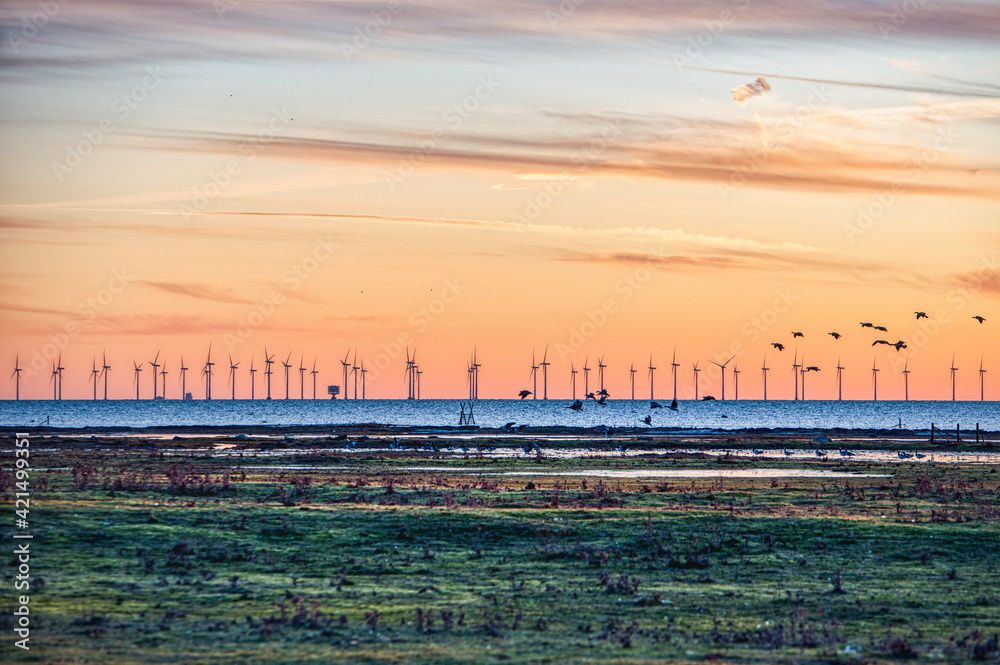 Sunset on offshore wind turbines park or wind power plant. Electricity generation off Copenhagen - Oresund Strait, Baltic sea. Ecological coastal wind farm for green wind energy or power production